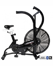 XEBEX �G�A�[�o�C�N